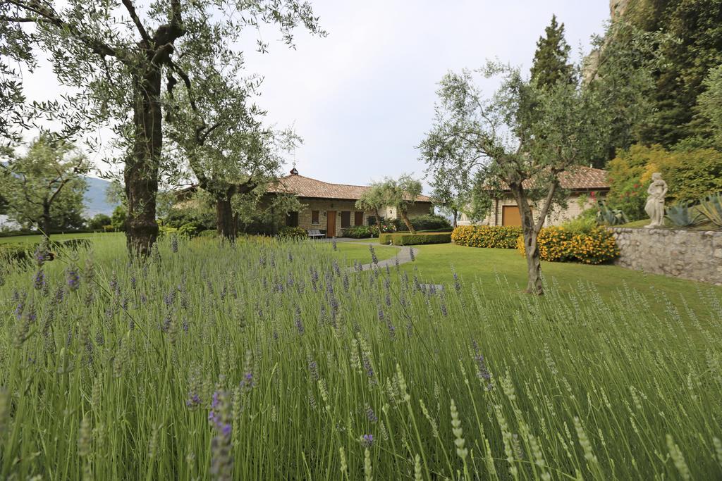 Torre Degli Ulivi Bed & Breakfast Tignale Eksteriør bilde